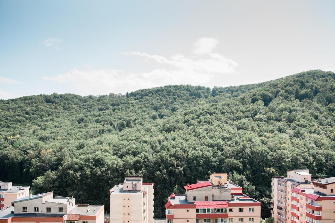 Nature Escape Apartment Brasov Exterior photo
